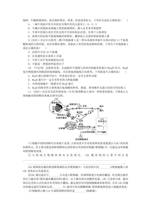新教材2024高考生物二輪專題復(fù)習(xí)整合訓(xùn)練1生命系統(tǒng)的物質(zhì)基礎(chǔ) 含解析